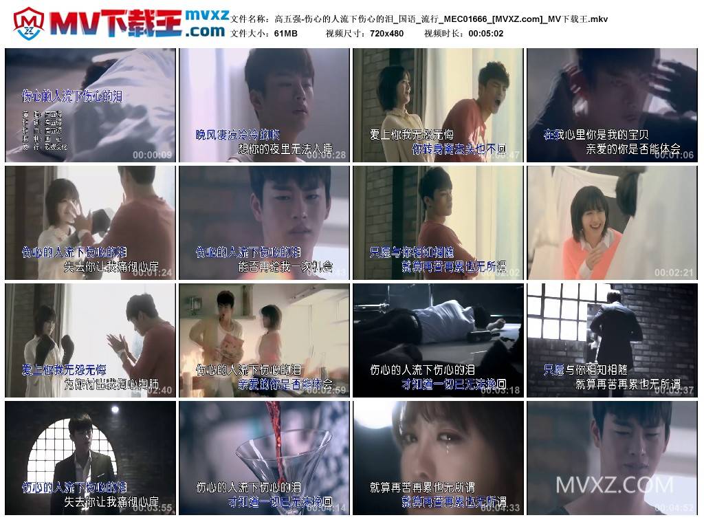 高五强-伤心的人流下伤心的泪_国语_流行_MEC01666